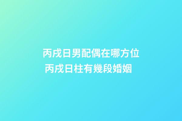 丙戌日男配偶在哪方位 丙戌日柱有幾段婚姻-第1張-觀點-玄機派